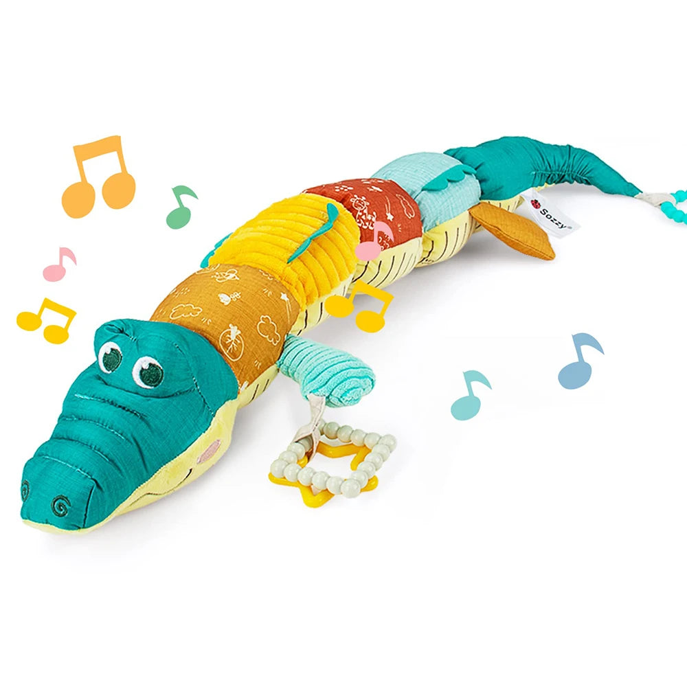 Musical Sensory Toy — Activity Animal