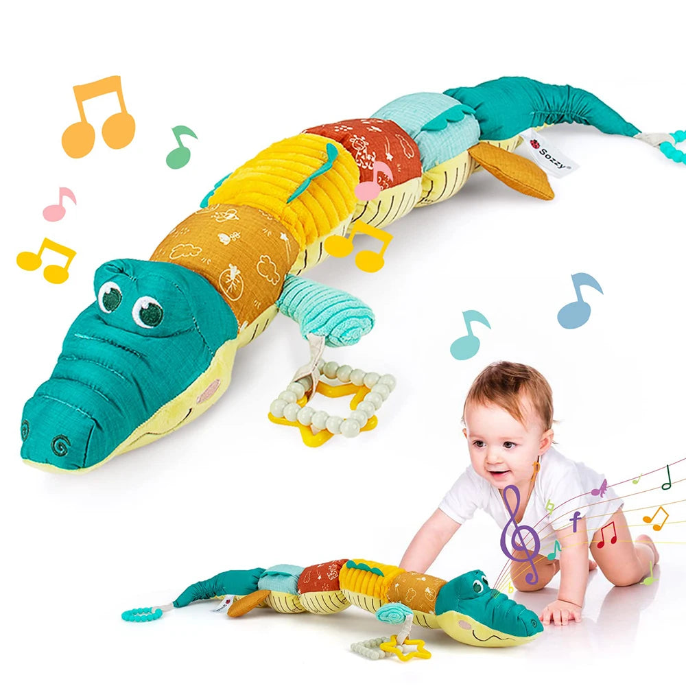 Musical Sensory Toy — Activity Animal
