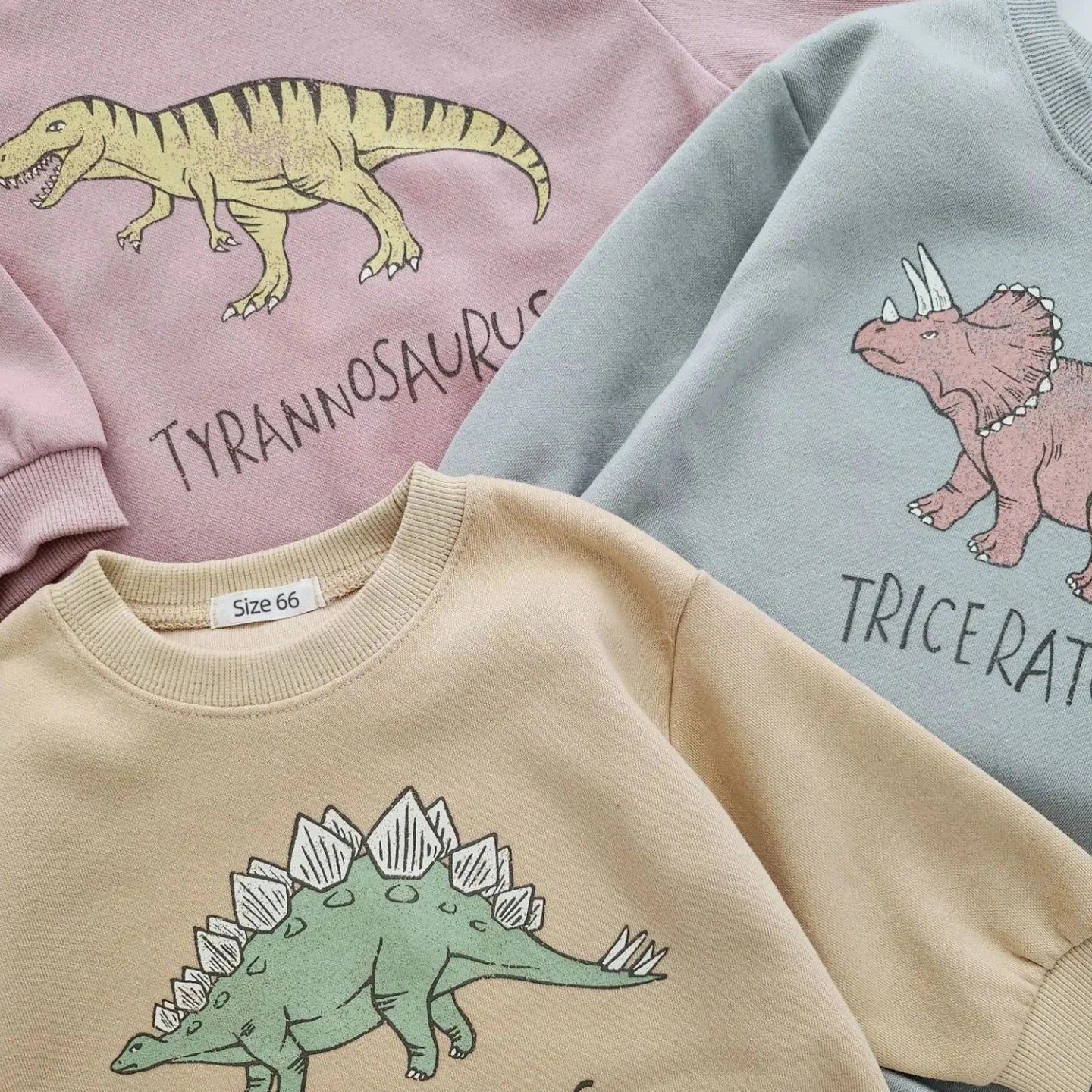 Baby Dinosaur Romper — Cotton Sweatshirt Bodysuit